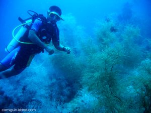 Diving Camiguin Island, Philippines